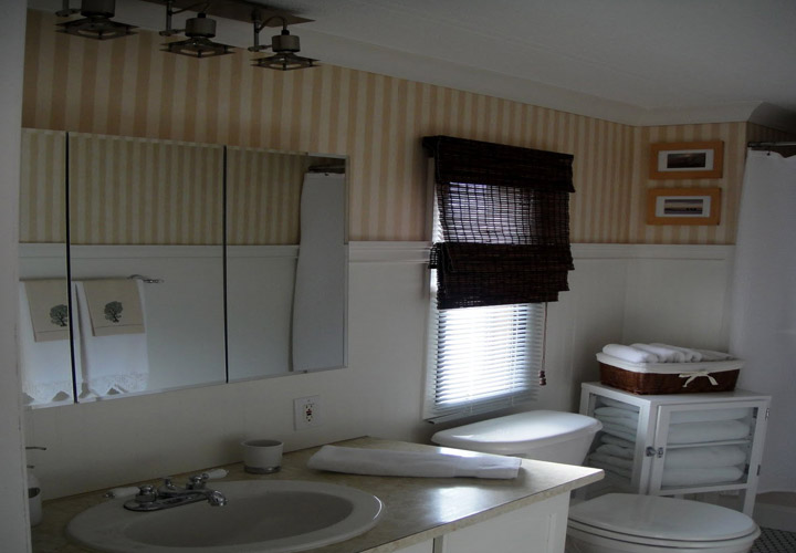 Mobile Home Bathroom Remodels Mobile Homes Ideas