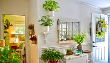 Mobile Home Indoor Plant Ideas