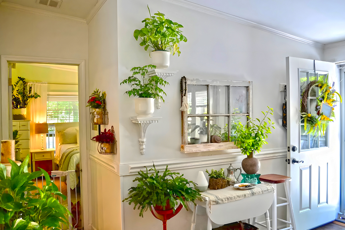 Mobile-Home-Hallways-Indoor-Plants