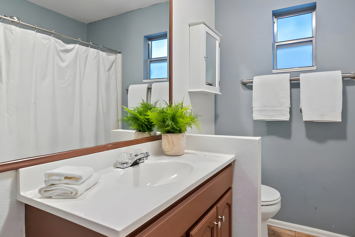 Mobile-Home-Indoor-Plant-Bathroom Ideas