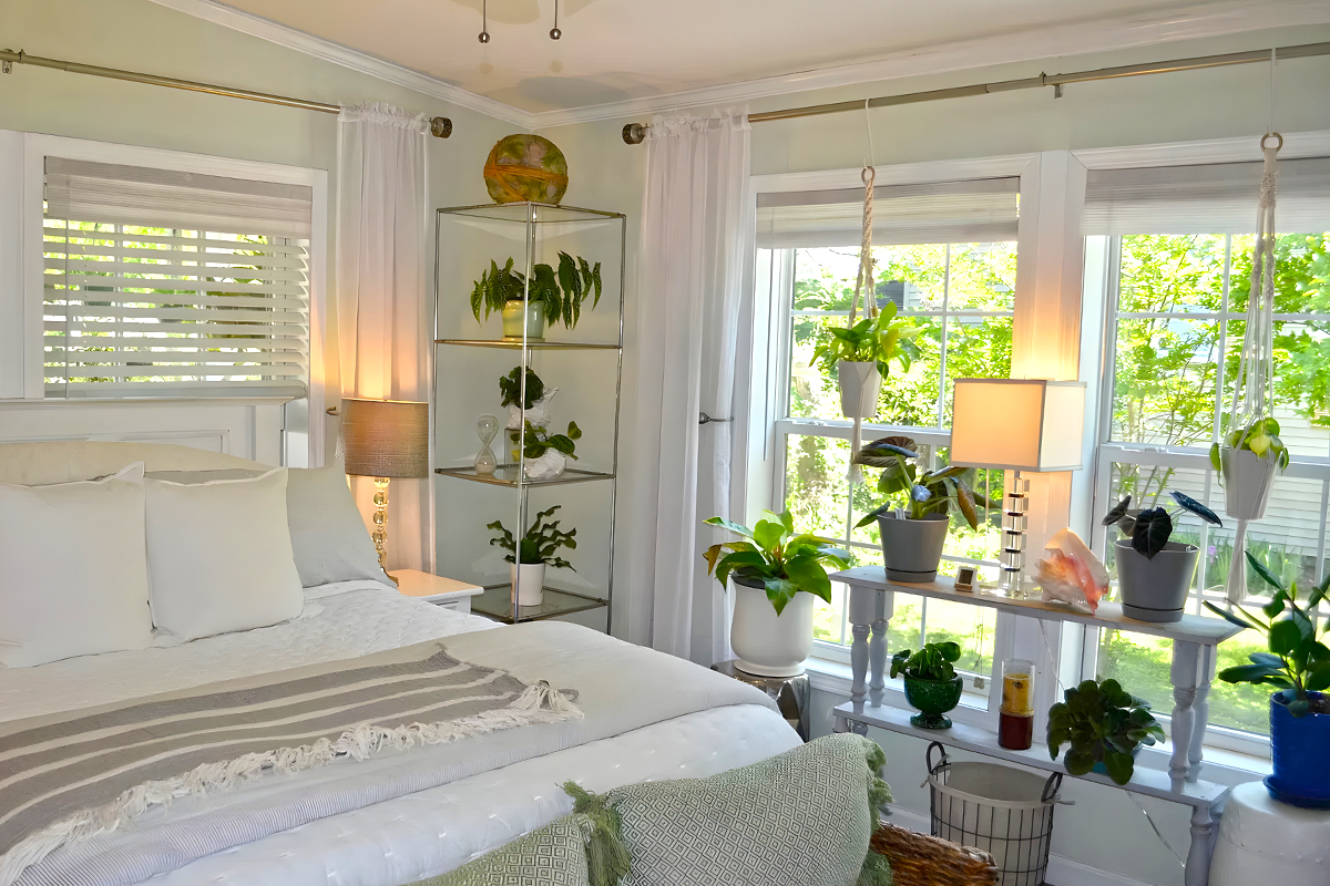Mobile-Home-Indoor-Plant-Bedroom