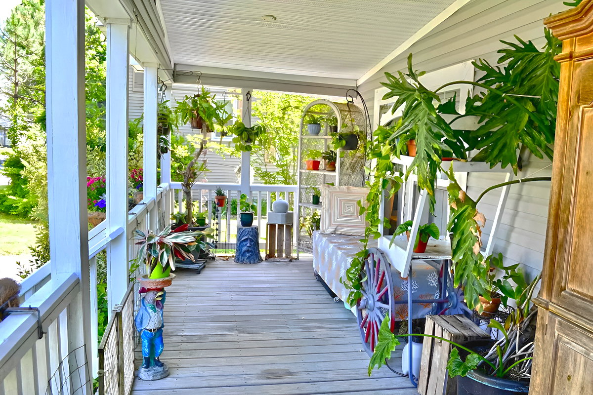 Mobile-Home-Porch Plants